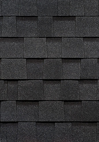 Премия_ежевика