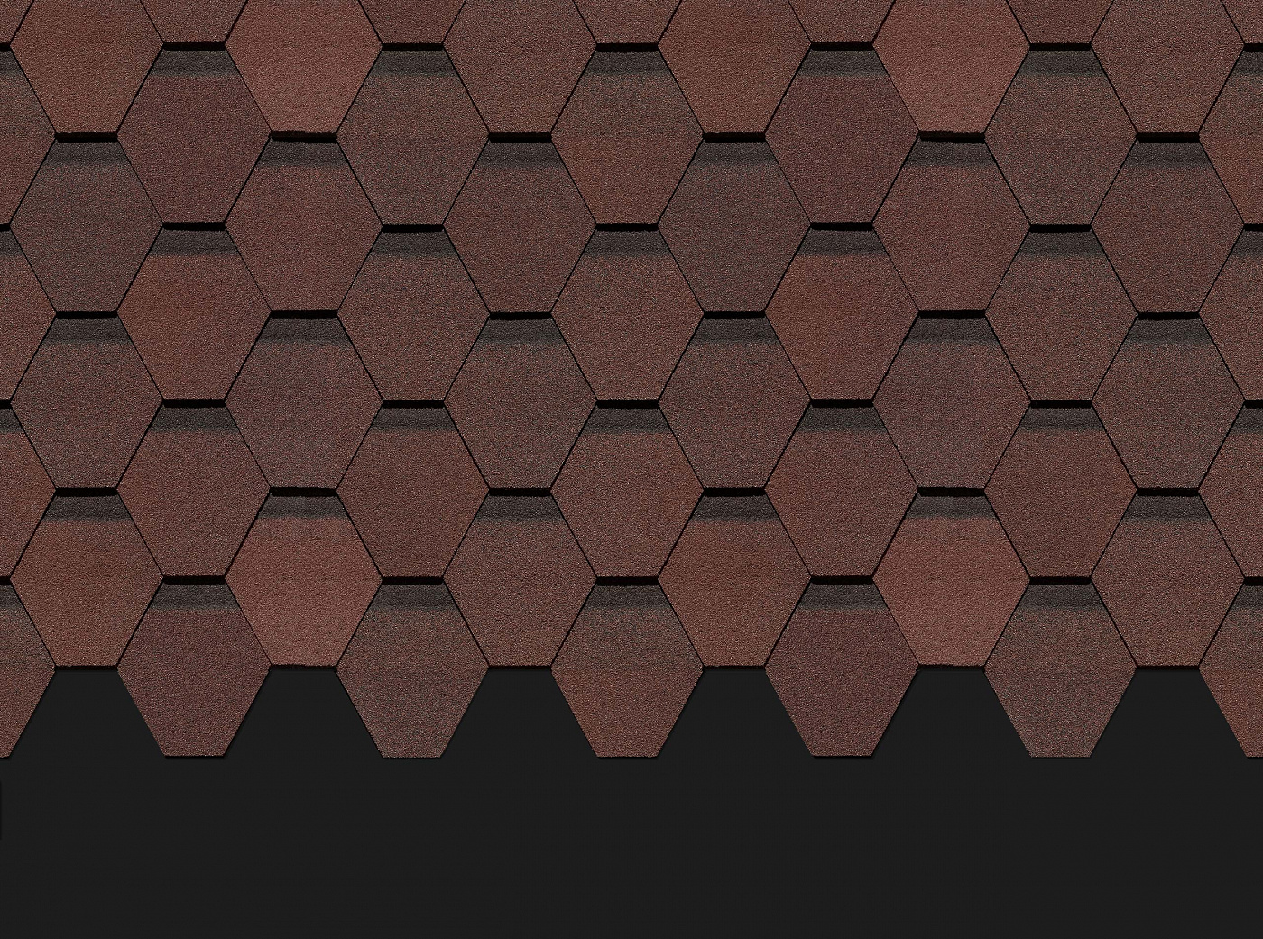 Кёльн_Зрелый каштан