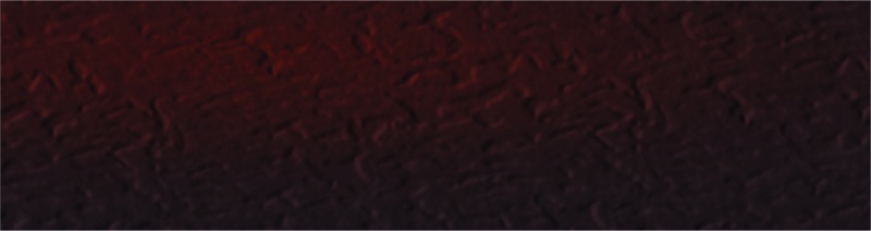 plytka_elewacyjna_cloud_brown_duro_24_5x6_58x0_74