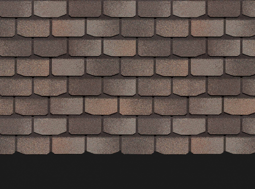 Женева_Вагаси