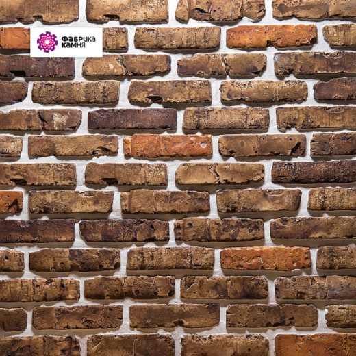 Петровский-каролина-3