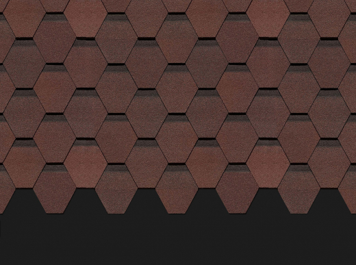 Кёльн_Зрелый каштан