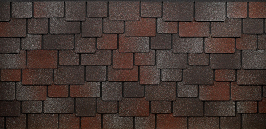 Саппоро_слива